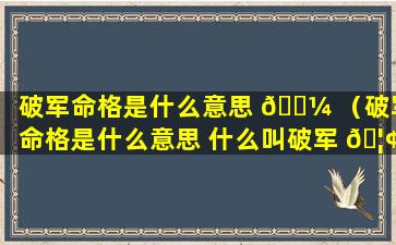 破军命格是什么意思 🐼 （破军命格是什么意思 什么叫破军 🦢 命格）